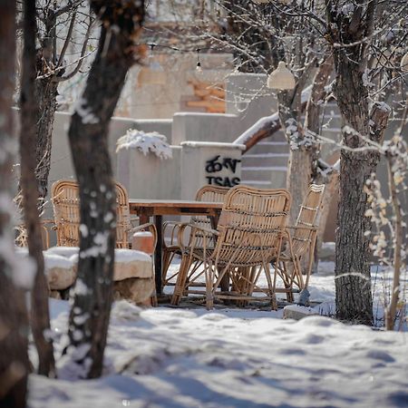 Dolkhar Resort Leh Zewnętrze zdjęcie